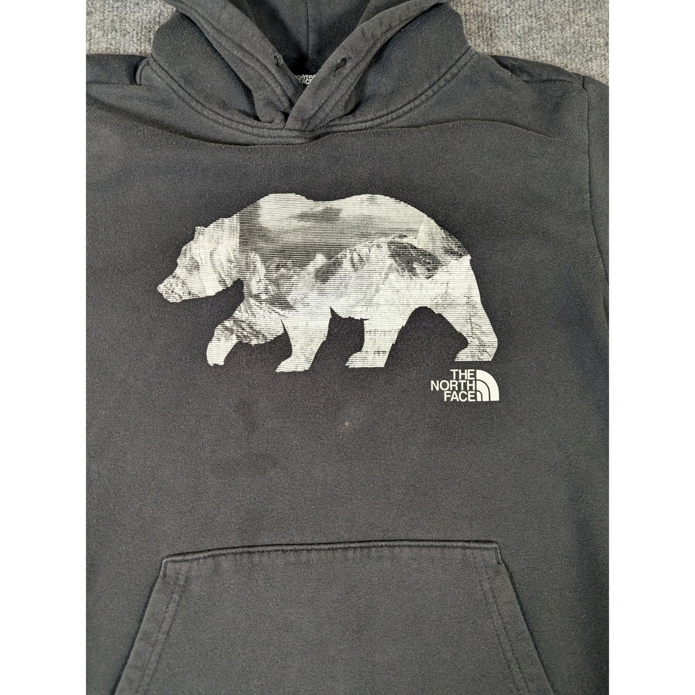 North Face Men Grizzly Bear Mountain Graphic Hoodie Black Sleeve Logo M #2339 - Picture 7 of 9